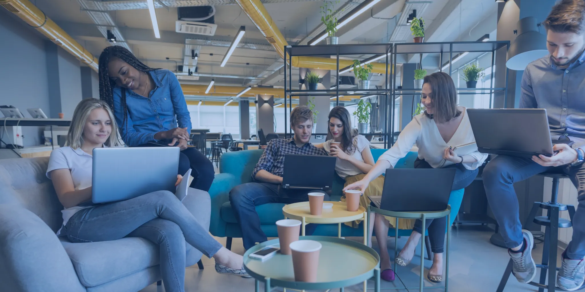 AppInnovative team collaborating on AI, software development and digital marketing projects